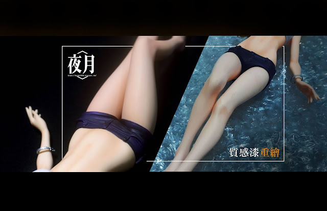 Alter《 Infinite Stratos》夏洛特質感漆修復（PVC完成品修復） 封面